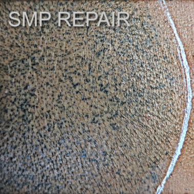 Micropigmentation Gallery Case Studies, Gallery